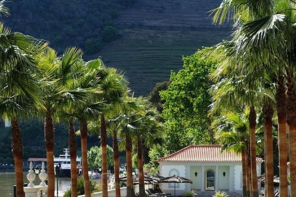 The Vintage House - Douro (Tabuaço)
